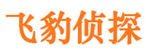 万安市调查公司